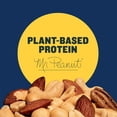 thumbnail image 3 of PLANTERS Deluxe Cashews, Almonds & Pecans, Party Snacks, Plant-Based Protein, 15.25 Oz Canister, 3 of 3