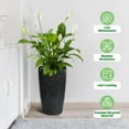 thumbnail image 3 of Qinaqin 22" Alto Redondo Planter Set de 2 Self cm Anchoatering Pots para Indoor Plants Grande Flower Pot Outdoor con Built-in Profundidadrainage y a Anchoater Level Monitor Patio, 3 of 8