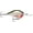 Bleeding Olive Shiner, variant on Rapala Dives-To Crankbait 12 Live River Shad