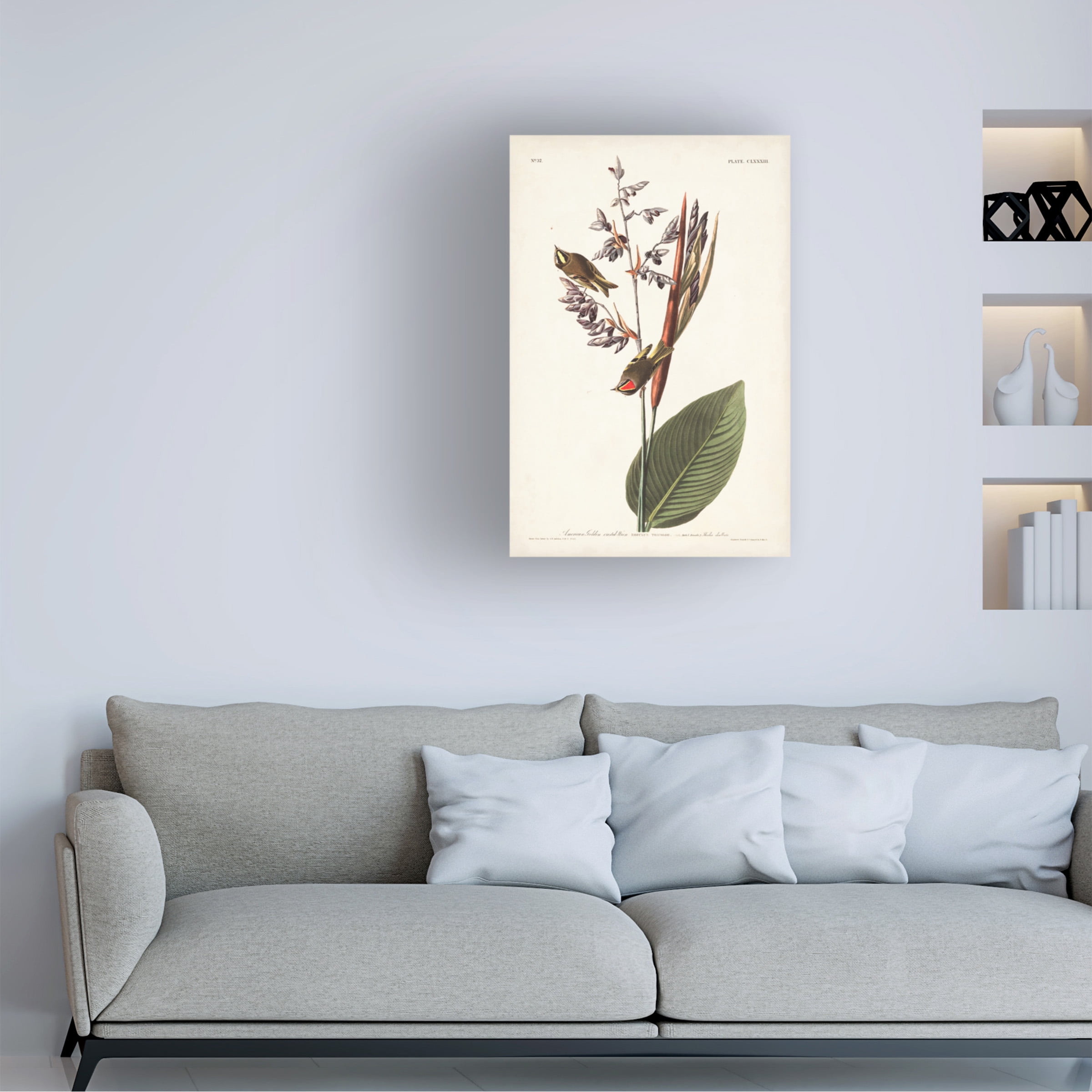 John James Audubon ' Golden Crested Wren' Canvas Art