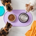 thumbnail image 6 of Oval Pet Feeding Mat, Waterproof Raised Edge Bowl Placemat, Non Slip Spill Proof Food and Water Tray for Dogs and Cats, Washable Floor Protector, 6 of 6