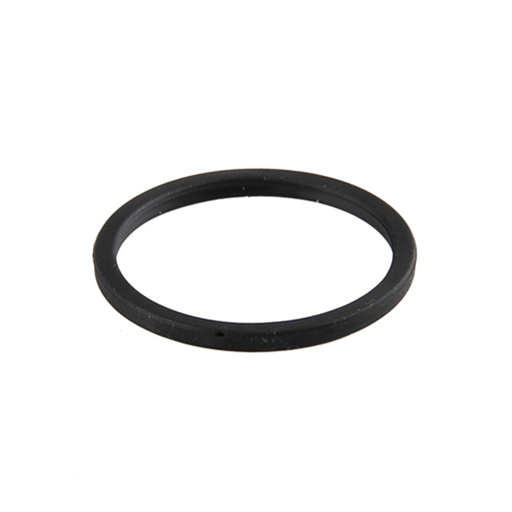 Replacement O-Ring for Summer Waves SFS1500 & SFS1000 Filter Systems 