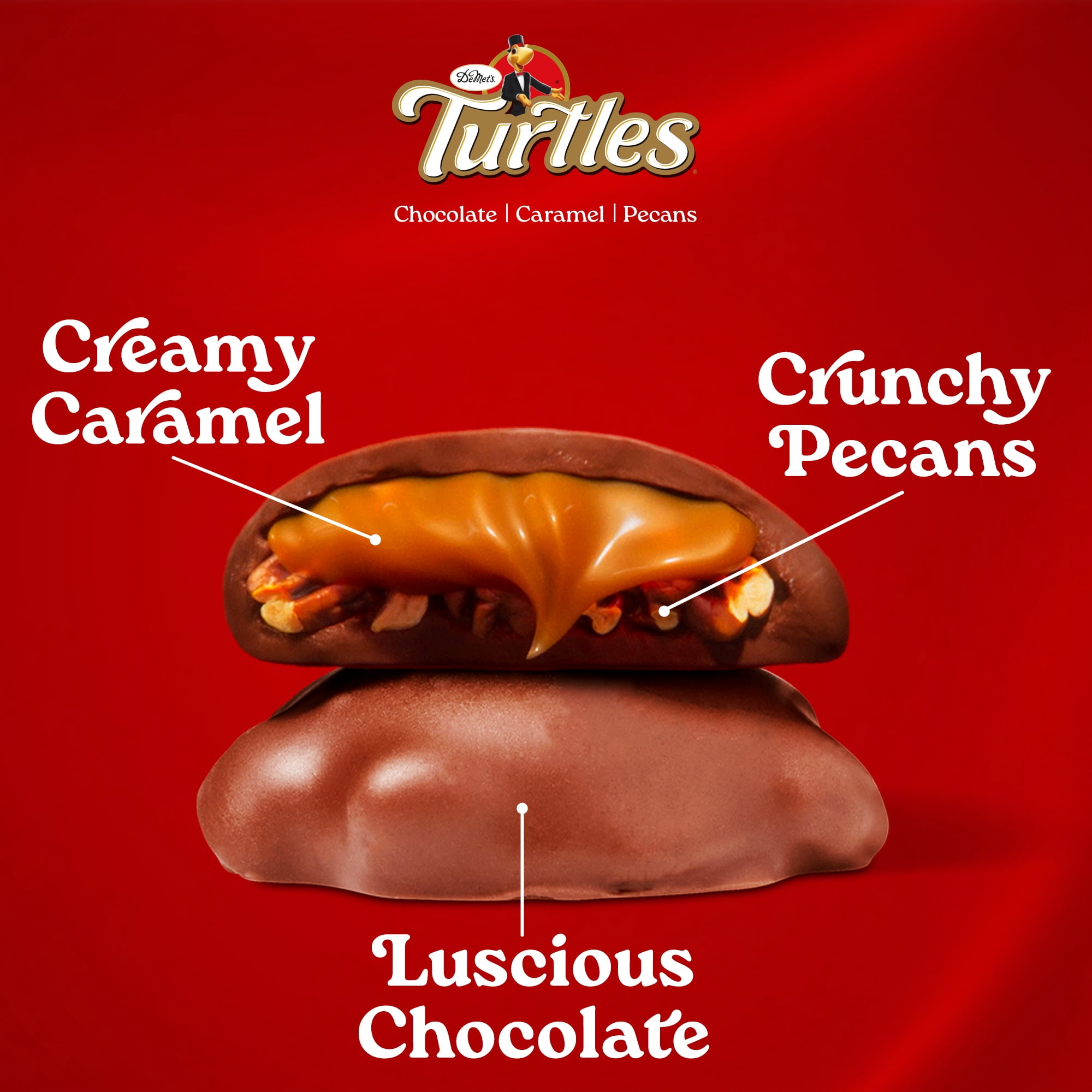 DeMet's Turtles, Original Milk Chocolate Pecan Bag, 17.5oz