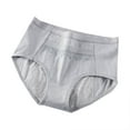 thumbnail image 3 of Oksale Women's Leak Proof Cotton Underwear Soft Breathable Period Panties Comfortable Seamless Panty Briefs for Everyday Gray XL, 3 of 4