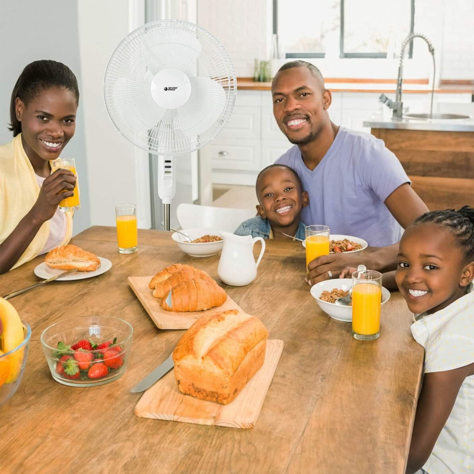 BEYOND BREEZE 16" 3-Speed Adjustable Oscillating Pedestal Fan