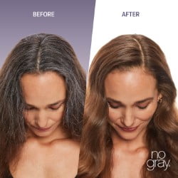 No Gray Quick Color Shampoo, Med. Brown