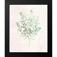 thumbnail image 2 of Kimberly, Allen 20x24 Black Modern Framed Museum Art Print Titled - Watercolor Herb 2, 2 of 5