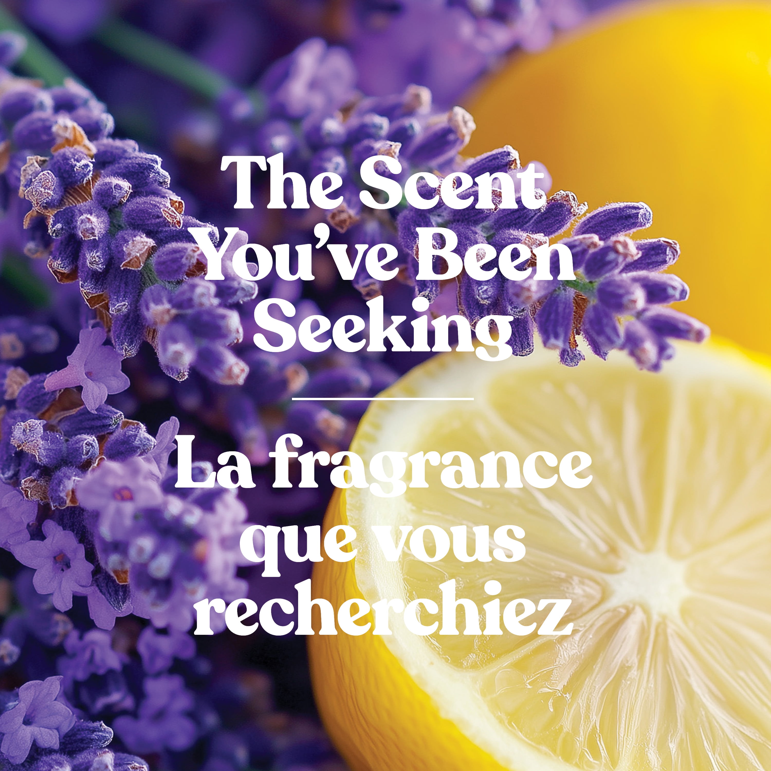 Yankee Candle Scented Candle, Lemon Lavender, 10 oz,Studio Collection, Up to 50 Hours of Burn Time, 1 Wick