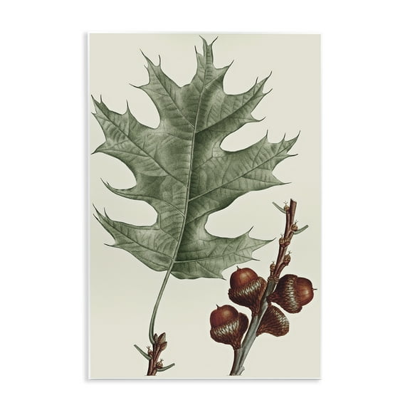 Stupell Industries Vintage Black Oak Leaf Plants & Flowers Painting Unframed Art Print Wall Art, 10 x 15