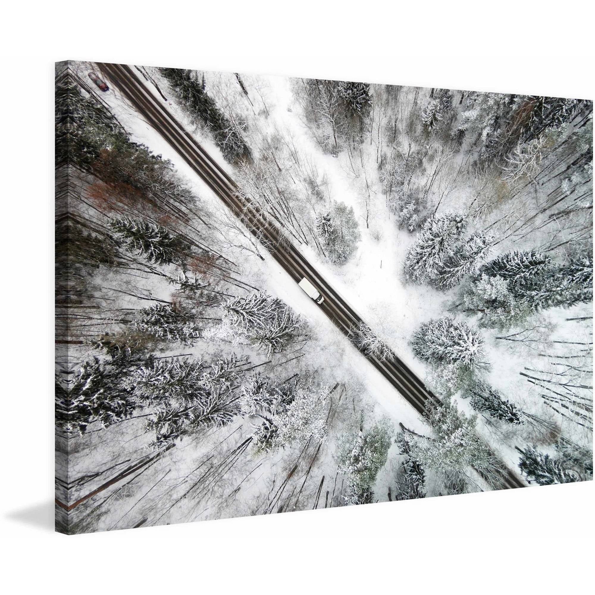 Marmont Hill "Icy Forest" by Karolis Janulis Painting Print on Wrapped Canvas
