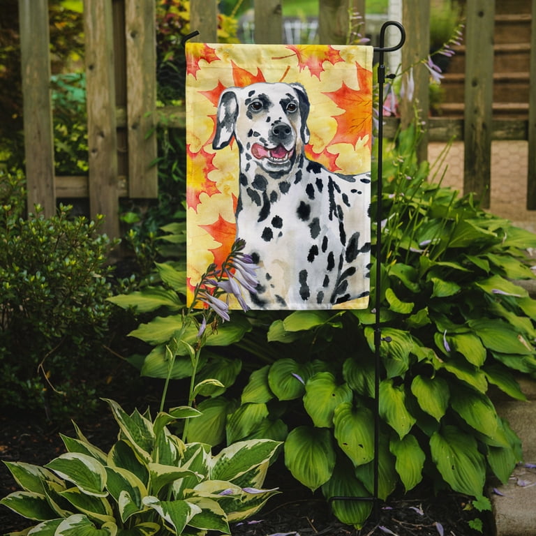 Caroline's Treasures 11 In. X 15-1/2 In. Polyester Shamrocks Rough Collie 2 Sided 2 Ply Garden Flag Ck1793gf
