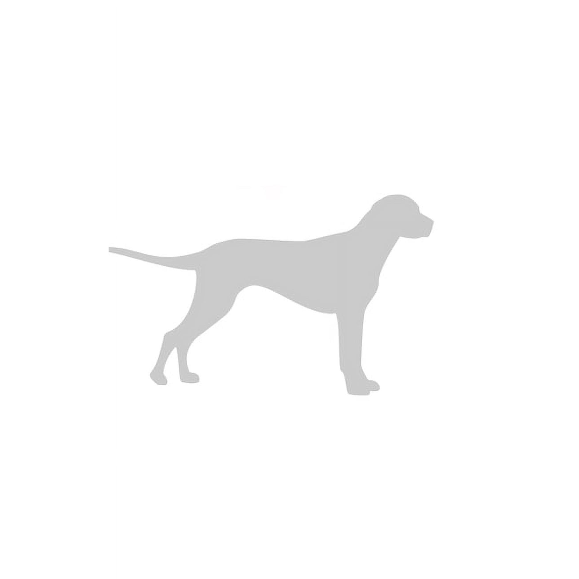 Dog Minamilist Journal: Dog Journal (Paperback)