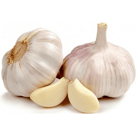 4 Bulbs German Garlic for Planting, Heirloom Garlic Bulbs for Planting Home Vegetable Garden