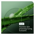 thumbnail image 7 of Biolage HydraSource Daily Leave-In Tonic 13.5 oz / 400 ml | Hydration Concentrate Spray, 7 of 7