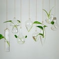 thumbnail image 4 of Vase Suspendu en Verre Transparent pour Jardin, Jardinière, Terrarium, 4 of 4