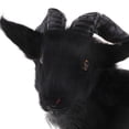 thumbnail image 3 of TISHITA Accessory Plush Sculptures Plush Sheep toy 21cm, 3 of 8