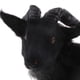 thumbnail image 3 of Estatua de cabra de imitación, figuritas de oveja, adornos de animales de peluche, juguete para niños 21cm, 3 of 9