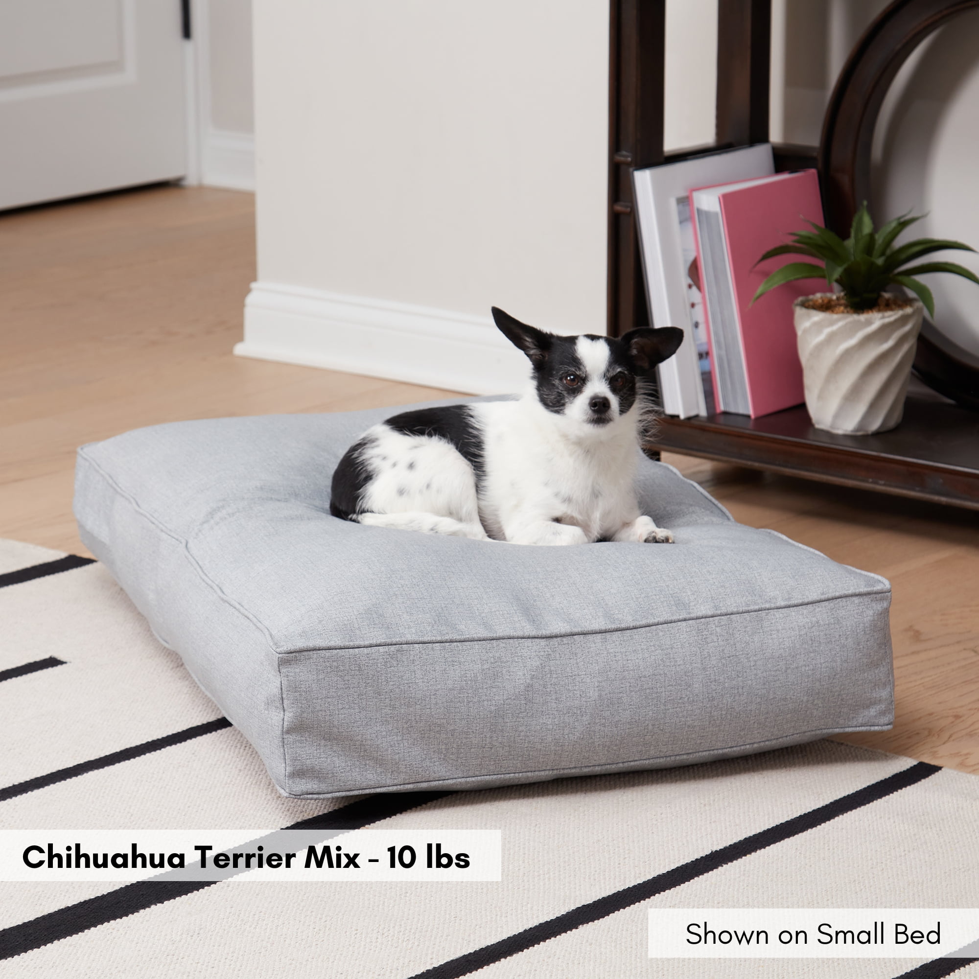 Happy Hounds Casey Indoor/Outdoor Pillow Style Dog Bed, Heather, Small (36 x 24 in.)