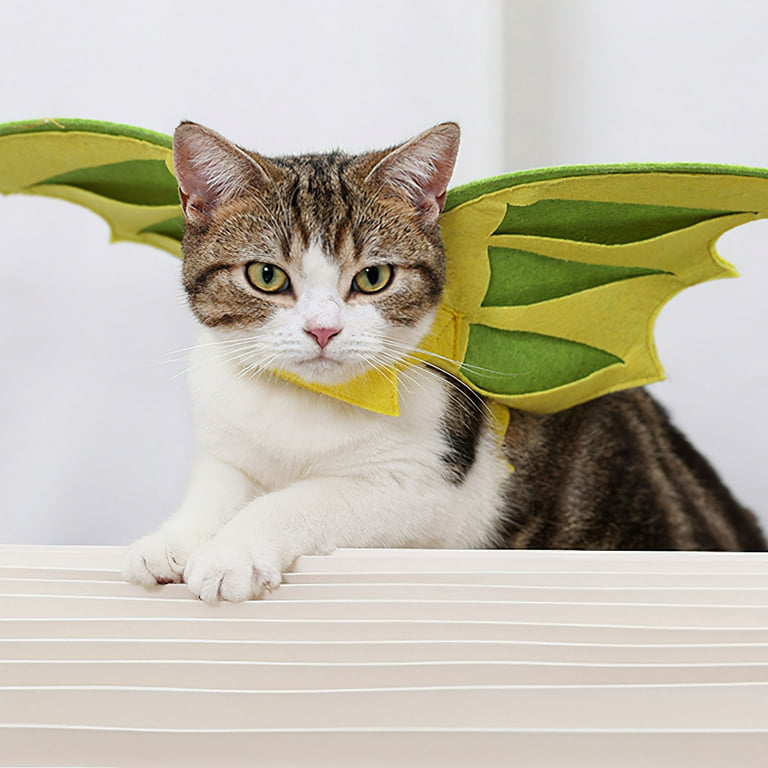 dragon cat costume