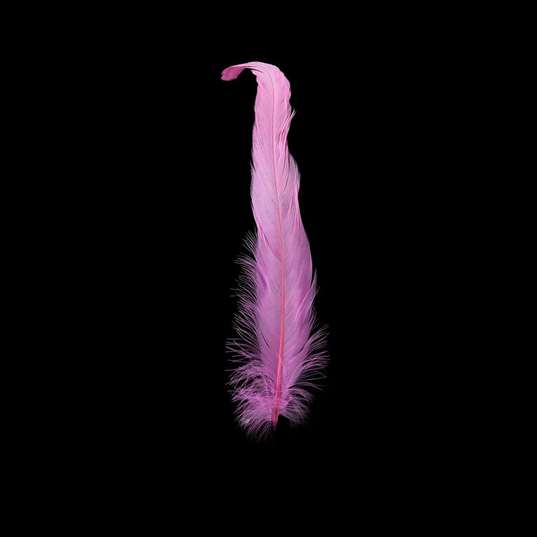 Doolland 10 Pcs Pink Ostrich Feathers 10-12 inch(25-30 cm) Bulk for DIY  Wedding Party Centerpieces, Easter, Gatsby Decorations Feather Supplies