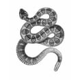 thumbnail image 3 of CafePress - Rattlesnake Dark T Shirt - Men's Classic Cotton T-Shirts, 3 of 3