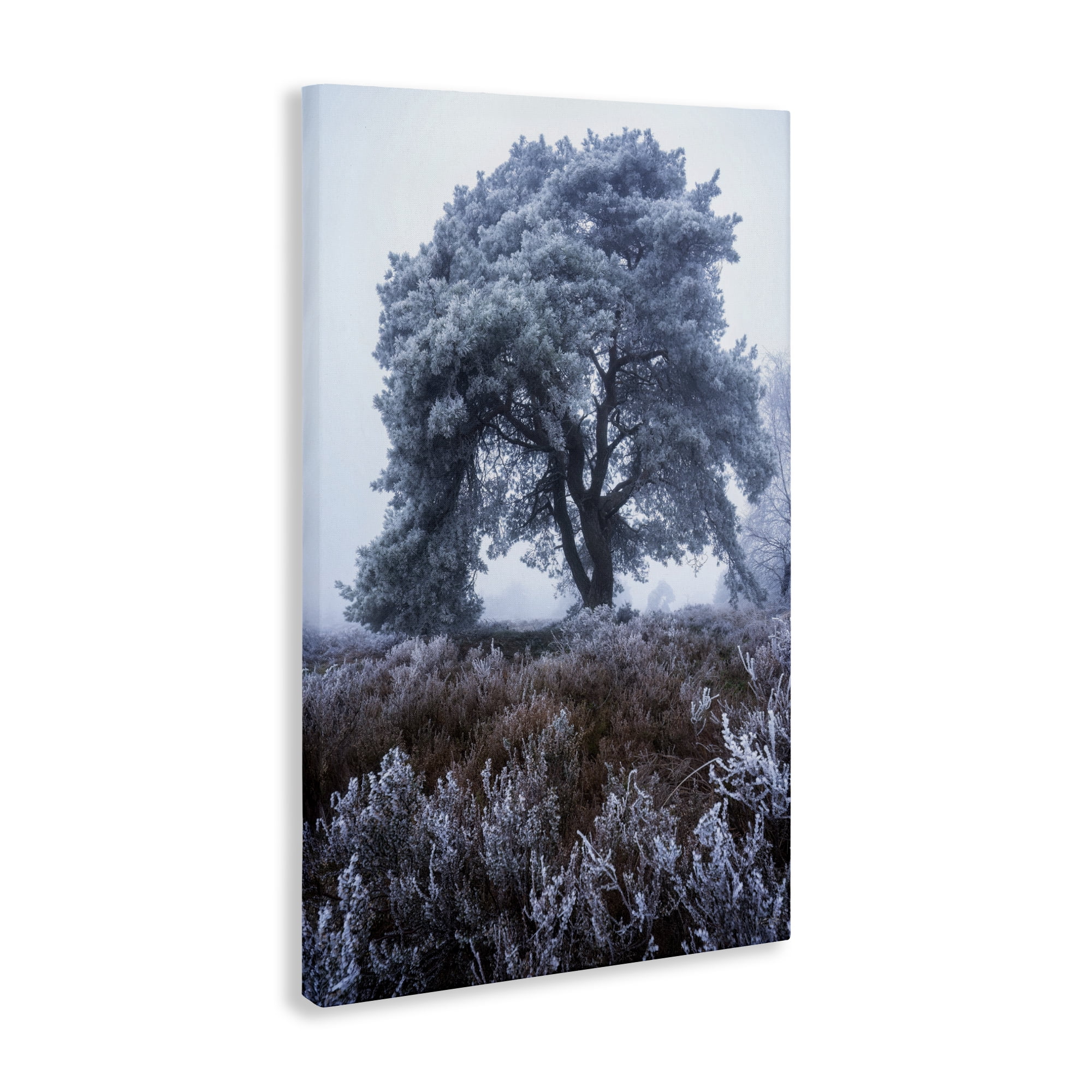 Stupell Industries Frosted Tree in Winter Mist Canvas Wall Art, design by Martin Podt