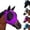 Purple, variant on Horse Fly Mask with Ears Breathable Mesh Equine Face Cover UV Protection Elastic Horse Fly Veil 4.7x4.7x0.6 Inches