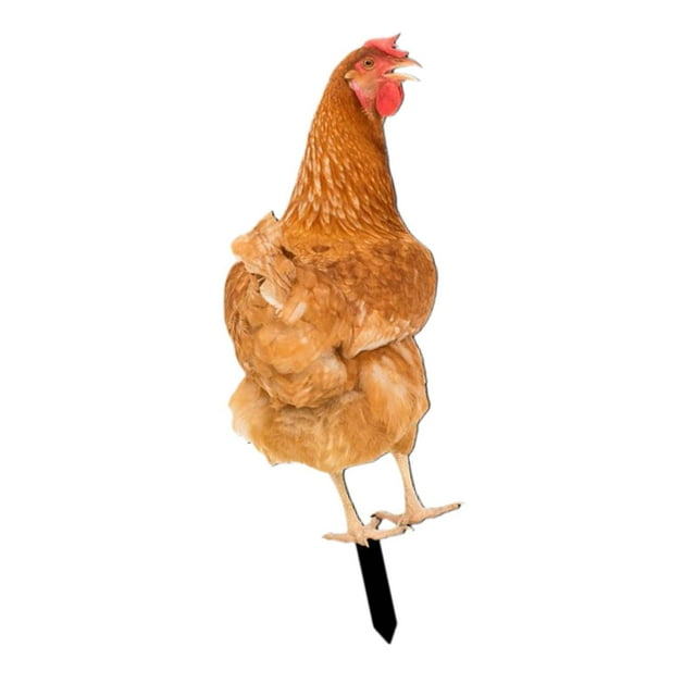 Almencla Acrylic Chicken Statue Stake Animal Statue for Swimming Pool Courtyard Patio 30cmx13cm