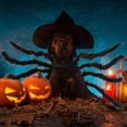 thumbnail image 2 of Mascota Perro Disfraz de Halloween Araña Sudadera Disfraces de Cosplay Cos JM, 2 of 5
