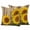 Brown, variant on 2 Pack Outdoor Waterproof Throw Pillow Covers,Summer Farm Sunflower Decorative Square Pillow Case Patio Pillowcases for Chair Couch Sofa 16x16in