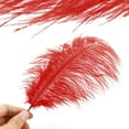 thumbnail image 2 of 10 Pack Natural Ostrich Feathers, 10-12 in (25-30 cm) Crafts DIY Plume Feather for Centerpieces Home Wedding Party Table Decoration - Red, 2 of 7