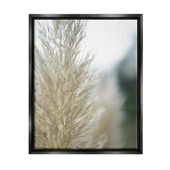 Stupell Industries Natural Pampas Grass Photography Scene Photograph Jet Black Floating Framed Canvas Print Wall Art, Design by Jason Johnson