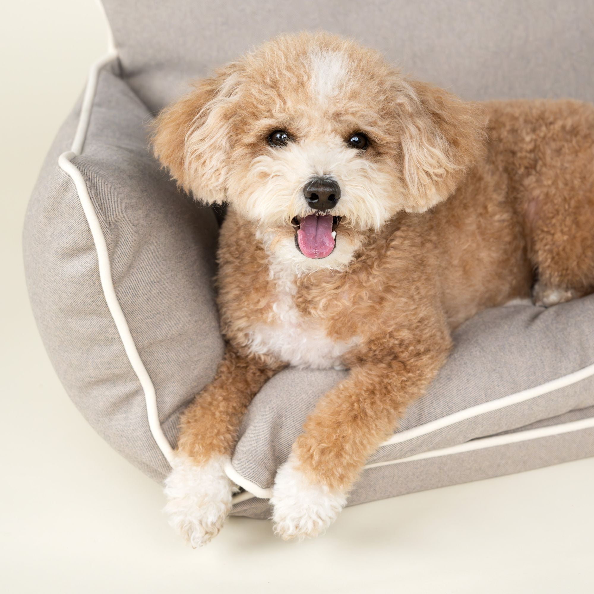 Harry Barker Comfy Couch Lounger Bed for Pets with Faux Wool and Eco-Friendly Poly Fill