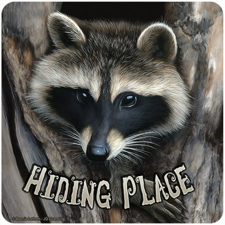 Hiding Place Racoon [3 Pack] of Vinyl Decal Stickers 5