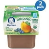 Gerber Dha Blueberry Oatmeal