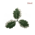 thumbnail image 2 of Kits de decoración para fiestas Naiovety 20 piezas Navidad acebo artificial 10MM, 2 of 6