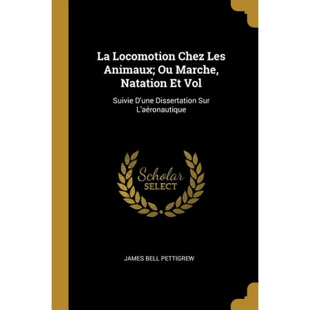 Amorce dissertation roman