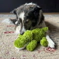 thumbnail image 4 of KONG® Cozie™ Plush Dog Toy with Squeaker, Ali the Alligator, Medium, 4 of 8