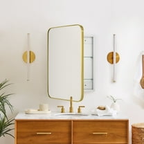 TEHOME Brushed Gold Medicine Cabinet, 16.5x24 inches, Recessed/Surface Mount, Metal framed