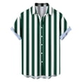 thumbnail image 6 of FNFYFH Mens Summer Striped Shirts Big and Tall Button Down Short Sleeve Shirt Vintage Beach Hawaiian Shirts, 6 of 8