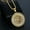 Gold Color, variant on Hip Hop Iced Out Lion Head Golden Silver Color Pendant & Chains For Men 14K Yellow Gold Animal Necklaces Male Bling Jewelry