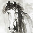 thumbnail image 2 of Atelier B Art Studio 15x15 Gold Ornate Wood Framed with Double Matting Museum Art Print Titled - Beautiful Wild Horse, 2 of 4