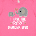 thumbnail image 4 of Inktastic Grandchild Best Grandma Ever Boys or Girls Baby T-Shirt, 4 of 5