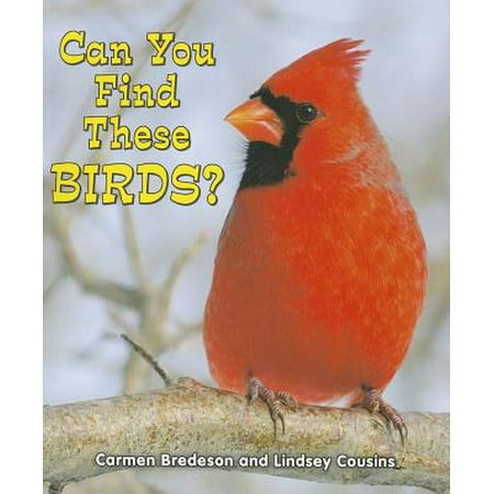 can you find these birds walmart com can you find these birds walmart com