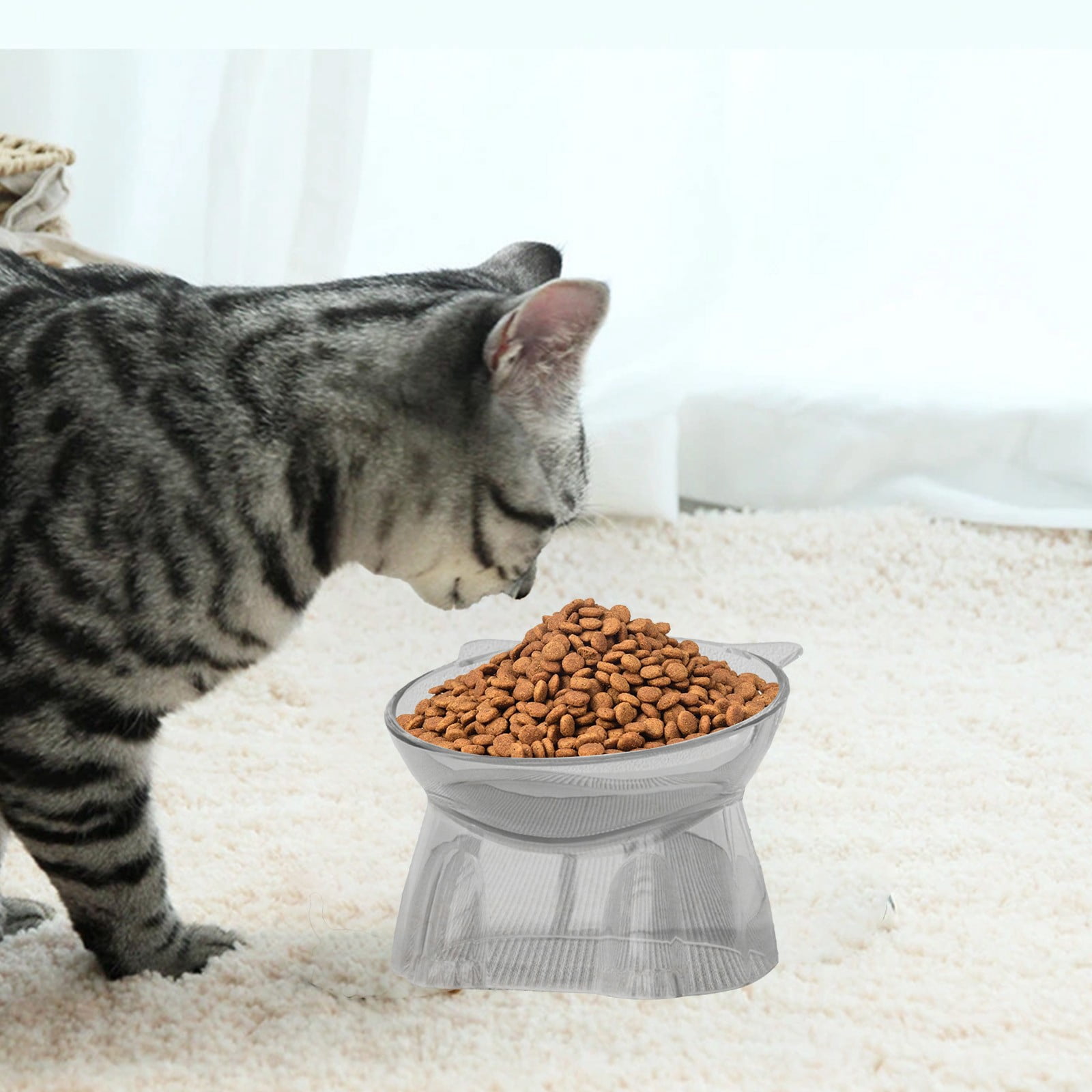 Raised Clear Plastic Cat Bowl, Neck-Protecting Anti-Tip 250ml Food Water Bowl for Cats (1pc)