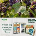 thumbnail image 4 of Dalen Insect Guard – Protective Plant and Garden Cover – Reusable Garden Fabric – Made in The USA – Helps Keep Bugs and Swarming Insects Away from Your Plants – 5ft x 40 ft., 4 of 5