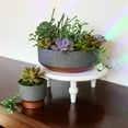 thumbnail image 5 of The HC Companies Capri Bowl Succulent Pot, Faux Concrete Copper (20 Pack), 5 of 7