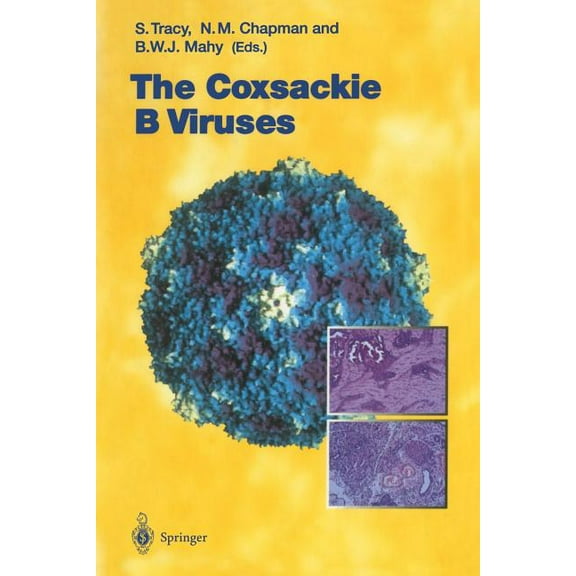 Current Topics in Microbiology and Immmu The Coxsackie B Viruses, Book 223, (Paperback)