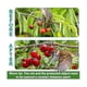 thumbnail image 2 of Red para pájaros para protección de jardín, 4x10 m Red de jardín, Red para aves de corral para gallinero, Deer Fe, 2 of 5
