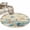 Brown Blue, variant on Round Rugs 3Ft, Teal Coastal Round Area Rug Washable Indoor Throw Carpet, Summer Beach Starfish Shell Coral Nautical Small Non Slip Circle Rug for Bedroom Living Room Home Decor Aesthetic